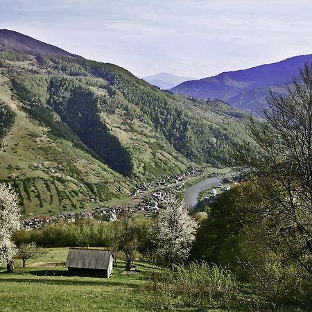 Dream Hostel Carpathians Rahó Kültér fotó