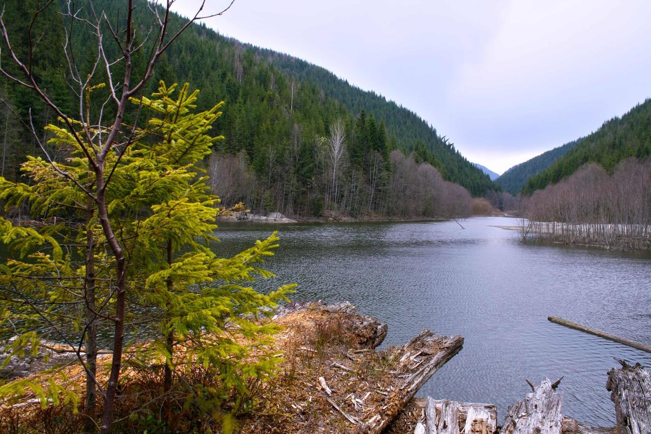 Dream Hostel Carpathians Rahó Kültér fotó